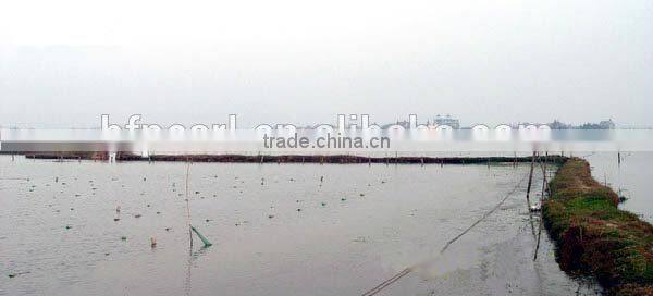 unique 6-12mm yellow 14K gold clasps for jewelry necklaces