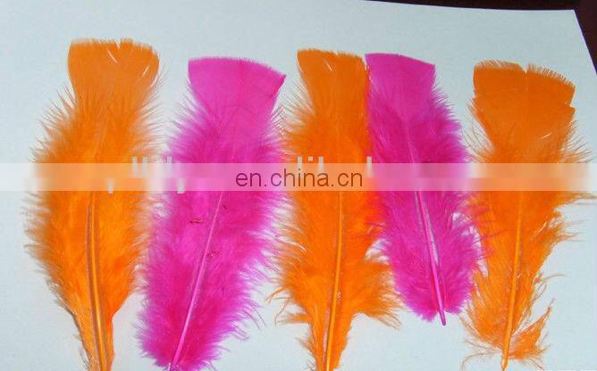 pheasant feather for decorate