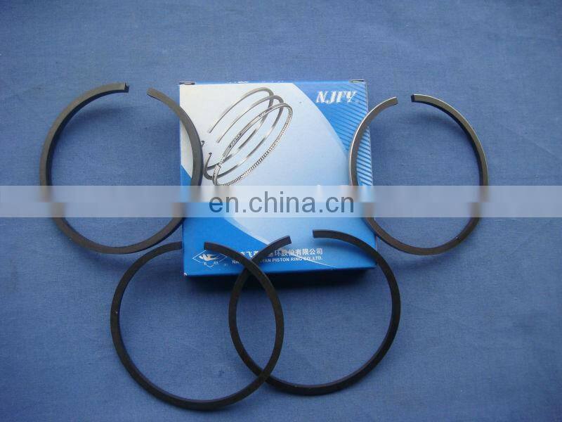 FAYN R175 Small Engine Piston Ring