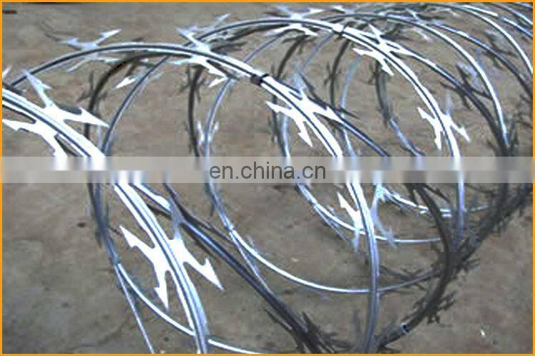 Sharp razor barbed wire fencing for Italy