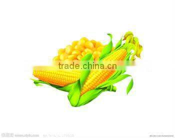 Grain Processing Machine