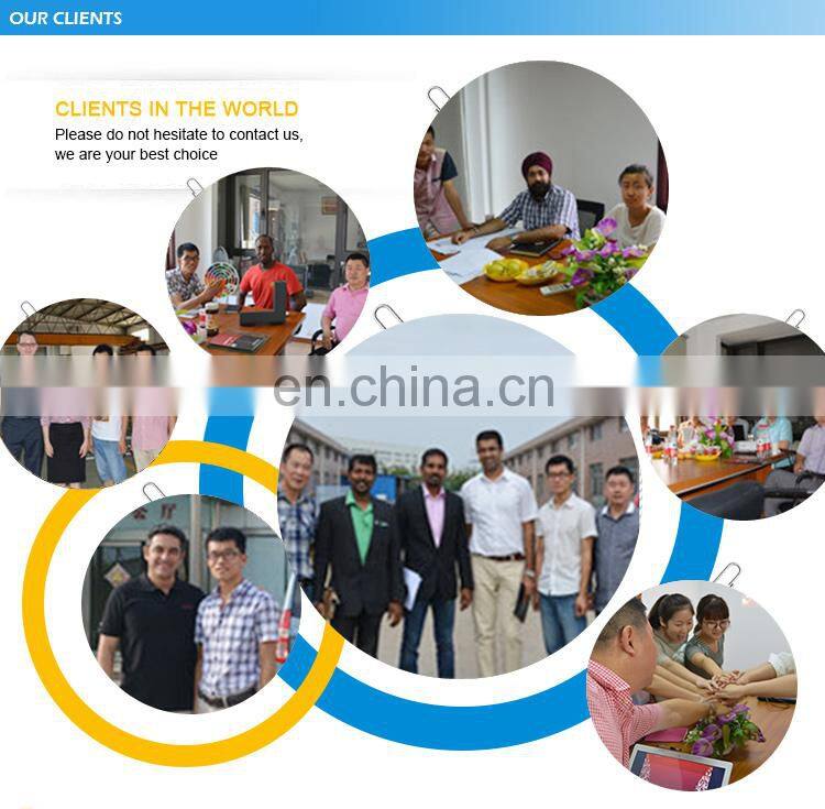 Aluminum up and down sliding window American style sash window grill design