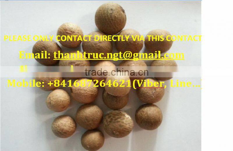SMALL YOUNG BETEL NUT FOR PROCESSING IN CHINA (Skype: anda.ty, Email: katherine.vilaconic@)