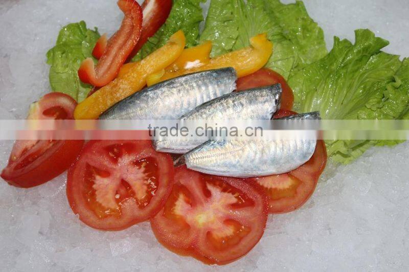 china frozen seafood big/small eyes scad fish