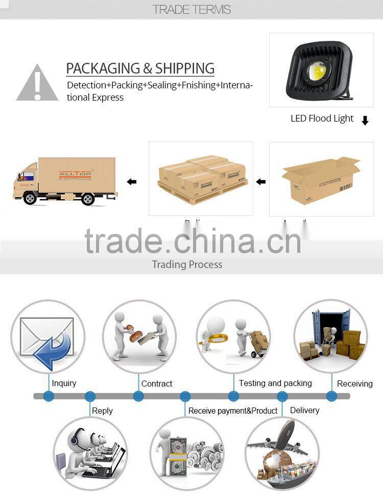 High lumen waterproof cob 20w 30w rechargeable led flood light