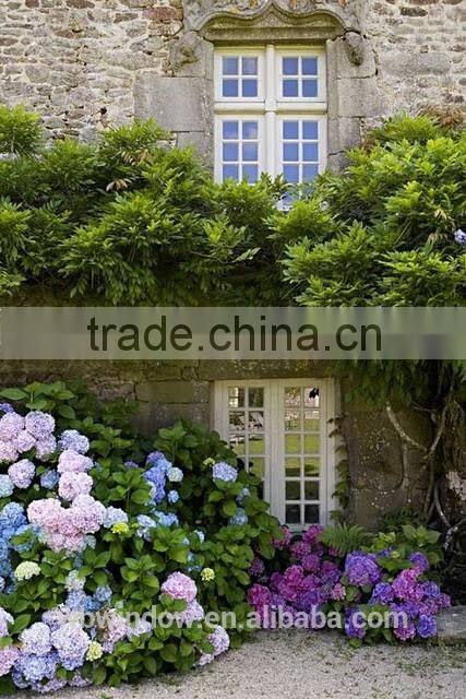 Latest design PVC crank open windows with plastic trim,PVC crank open windows for bedroom