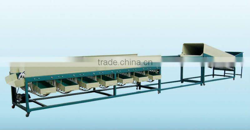 Cleaning onion grading line