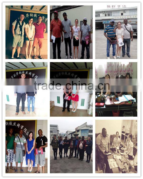 Guangzhou factory wholesale powder-coating security wrought iron fence for garden ZX-XGHL18