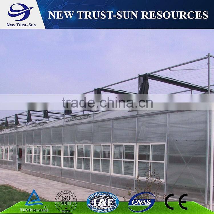 High quality polycarbonate/ PC greenhouse with hydroponic system &shading system