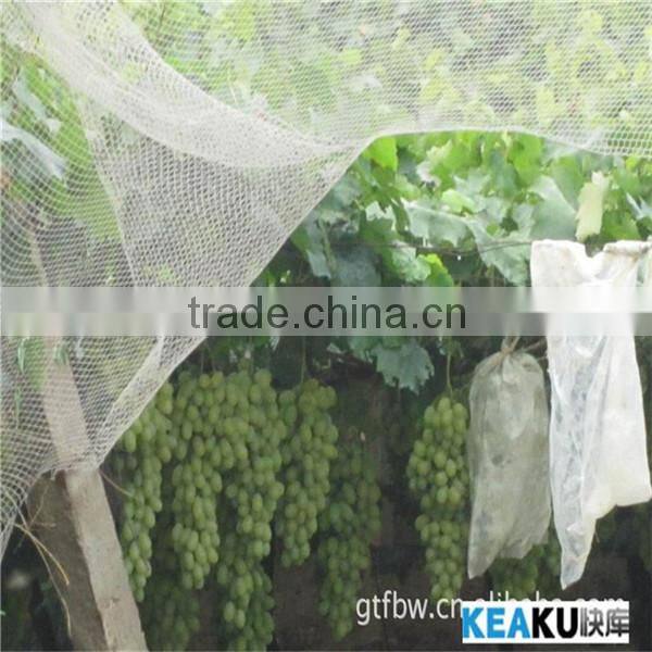 ANTI HAIL NET IN AGRICULTURE