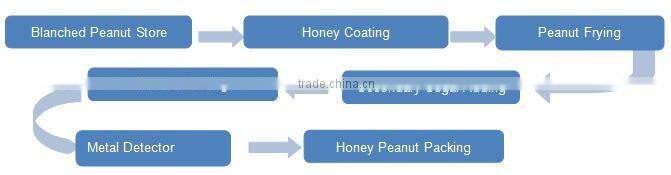 Automatic Continuous Peanut Frying Machine Nuts Potato Chips Fryer