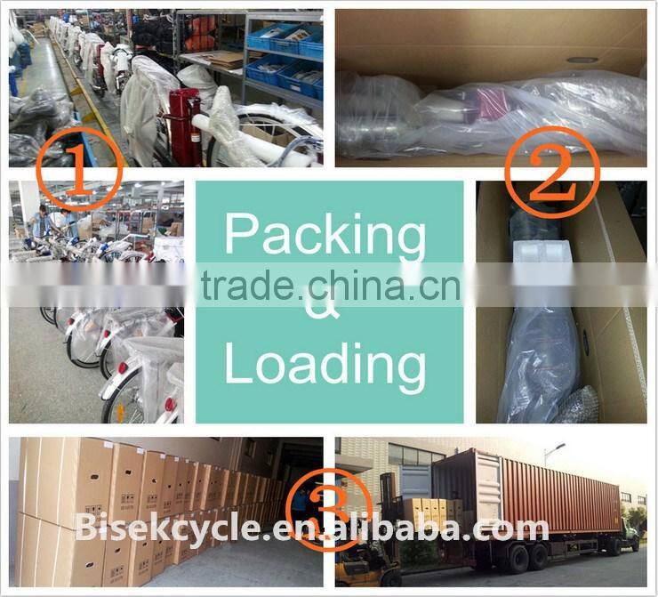 48V DC gear hub motor electric bicycle folding small 20*4.0