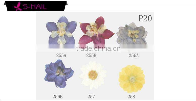 Natural dried flower decoration , nail art dried flowers