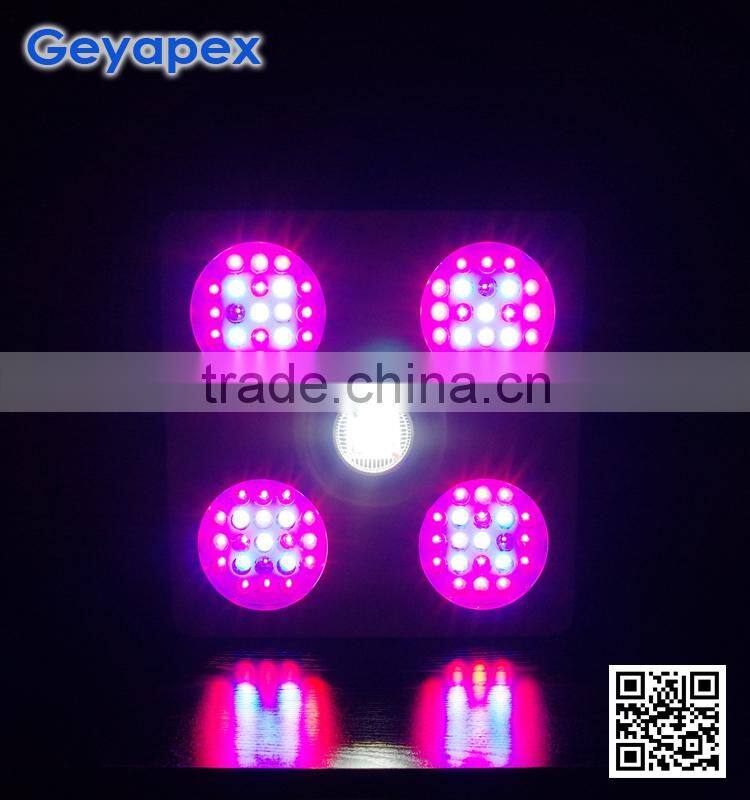 PAR Powered Budmaster II 1200 G.O.D LED Grow Light 600w New Arrival 2015