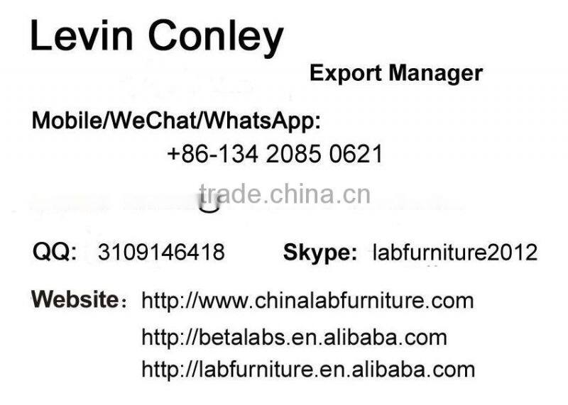 2015 HOT Sale Chemical Laboratory Safety Storage Cabinet