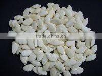China snow white pumpkin seeds kernels with best price for sale