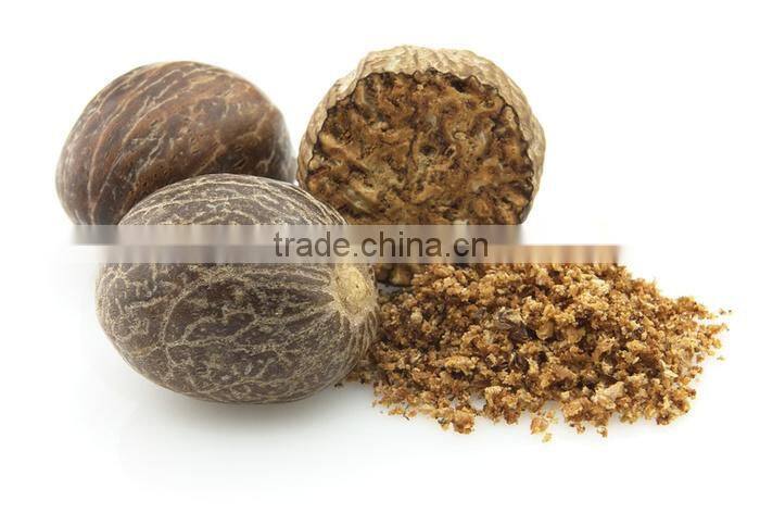 Best Quality Of Nutmeg Oil From BORG EXPORT |100% Natural Nutmeg Oil | At low Price