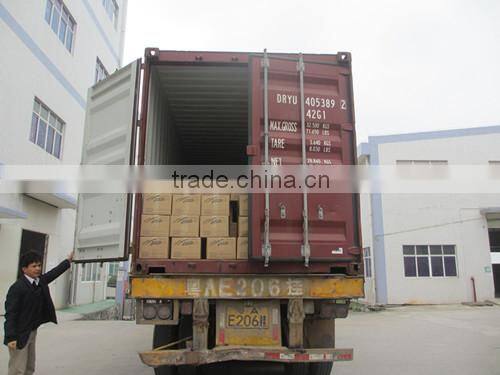 Speedy Soft Paste Car Wax Protection 300g