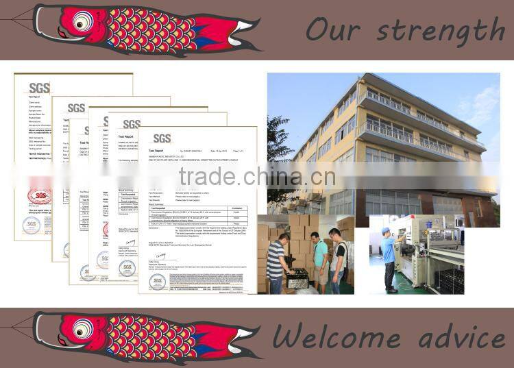 Food grade takeaway plastic printing sushi rice box, square sushi tray, sushi platter