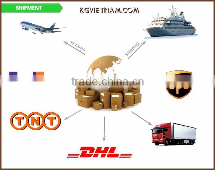 High quality toothbrush with PBT bristle