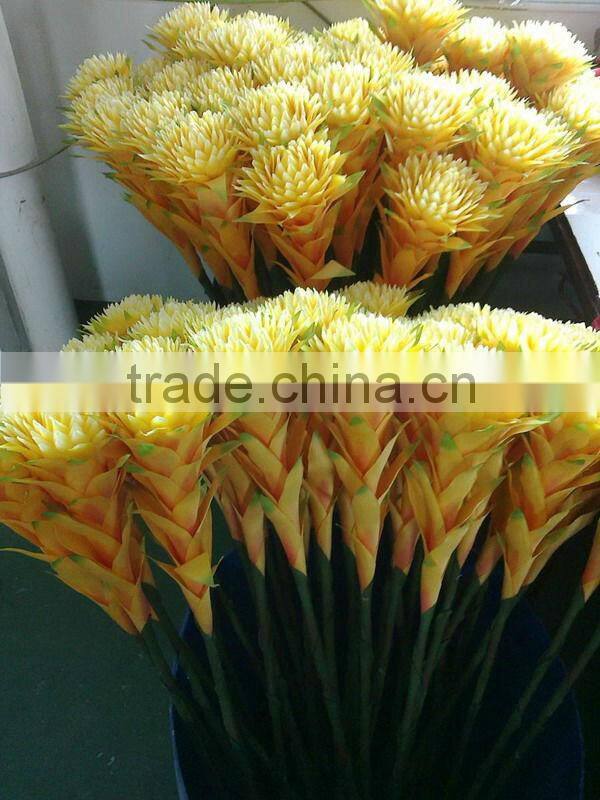 silk tropical flower red flame