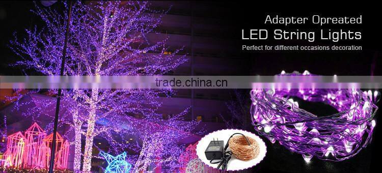 Most Popular Products Micro LED Copper Silver Wire Seed Starry Light String