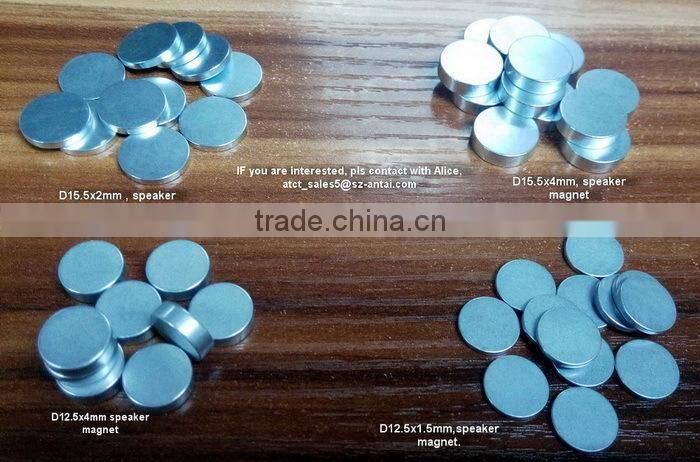 Hs212 High Quality Performance Rare Earth Disk Neodymium Magnet For Speaker For Sale
