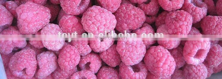 Frozen Berry Fruits/Frozen Raspberry