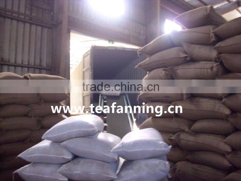 China Green tea-Gunpowder Green tea 3505AAA