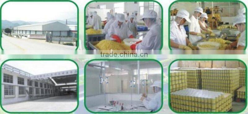 competitive price delicious fresh material sardines fish canned in tomato sauce