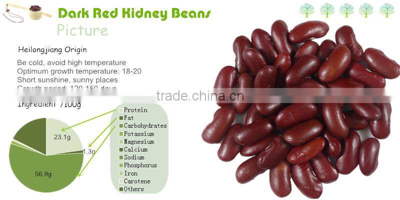 Dark Red Kidney Beans For Can Processing