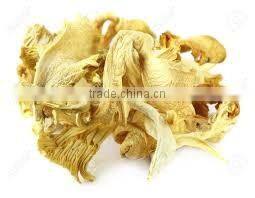 Detan Wholesale Dried Oyster Mushrooms for customer