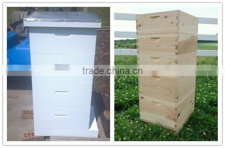 Dadant beehive/ Langstroth beehive / British beehive