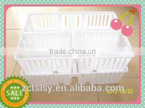 plastic transporting /easy move chicks box /basket for poultry