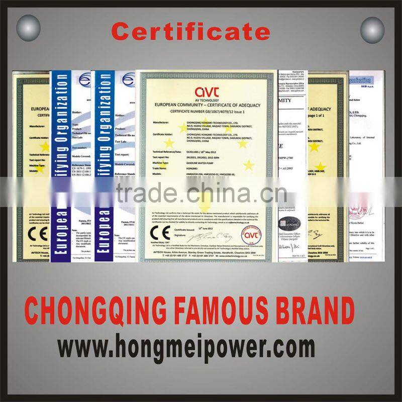 single cylinder gasoline engine 4 stroke gasoline engine 6.5 HP Gas Engine