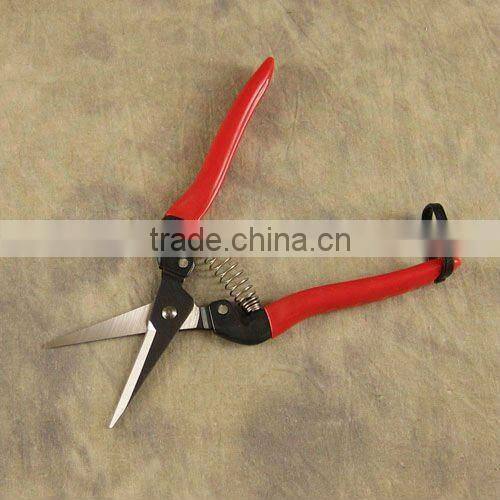 Needle Nose Pruner