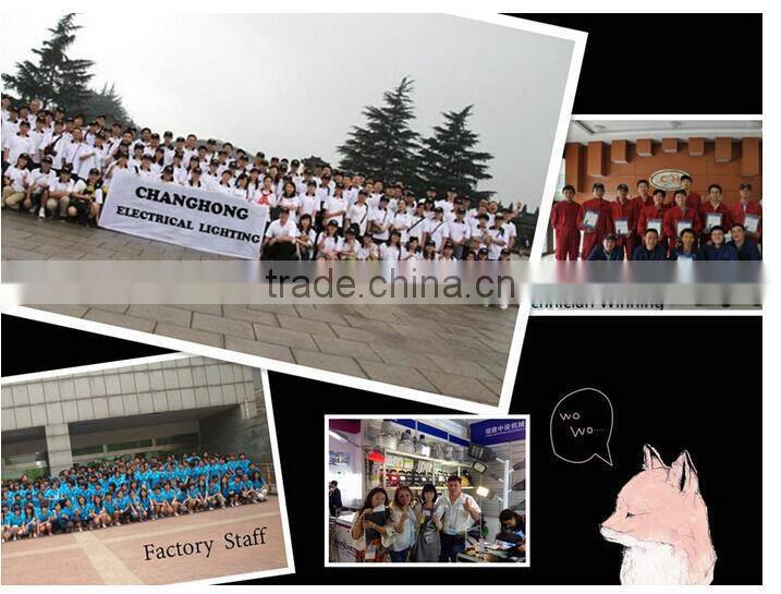 grow light electronic box for HPS600W Convertible Magnetic ballast