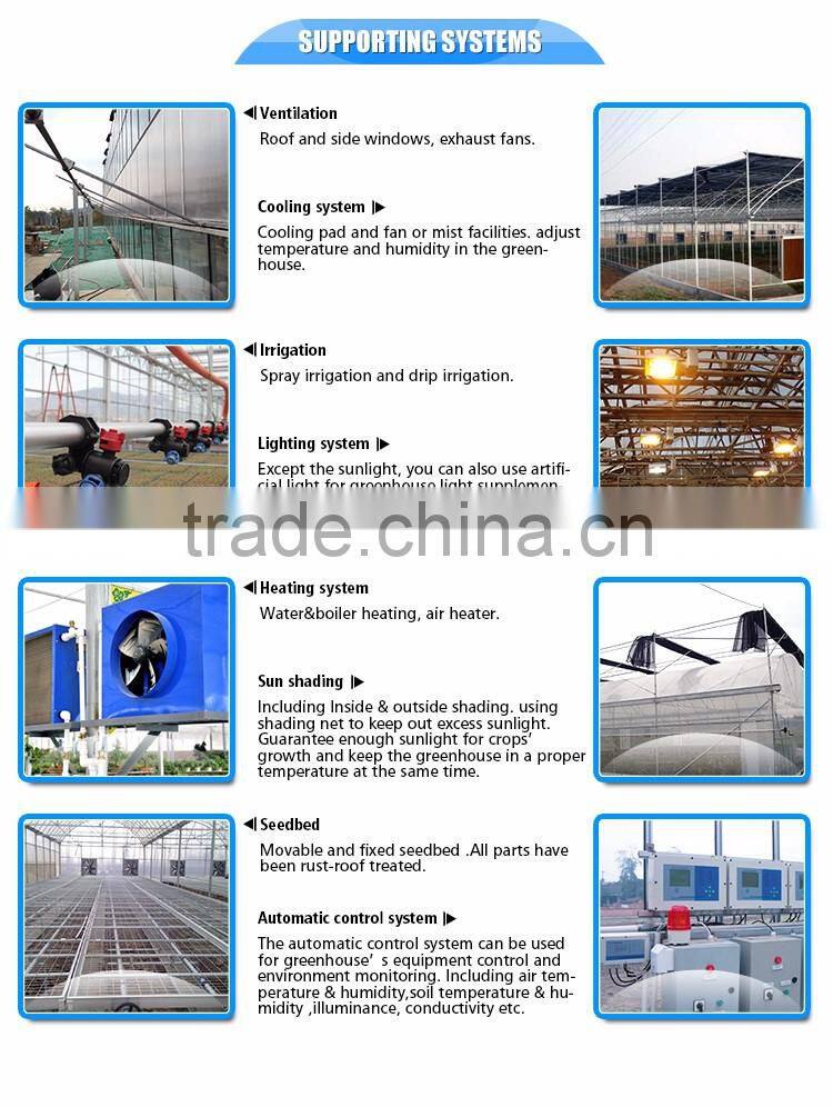 industrial greenhouse For Hot Sale