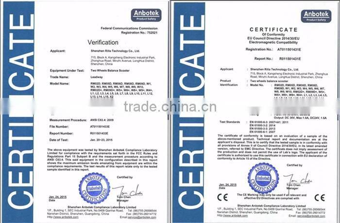 Leadway one wheel electric motorcycle scooter chinese snowmobile(W5l+ 607a)