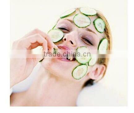 CY126 Mini Sharpener Shaped Beauty Mask Cucumber Slicer