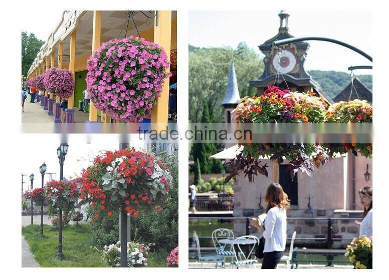 new 2016 wholesale pots garden decorative hanging baskets hydroponic trays