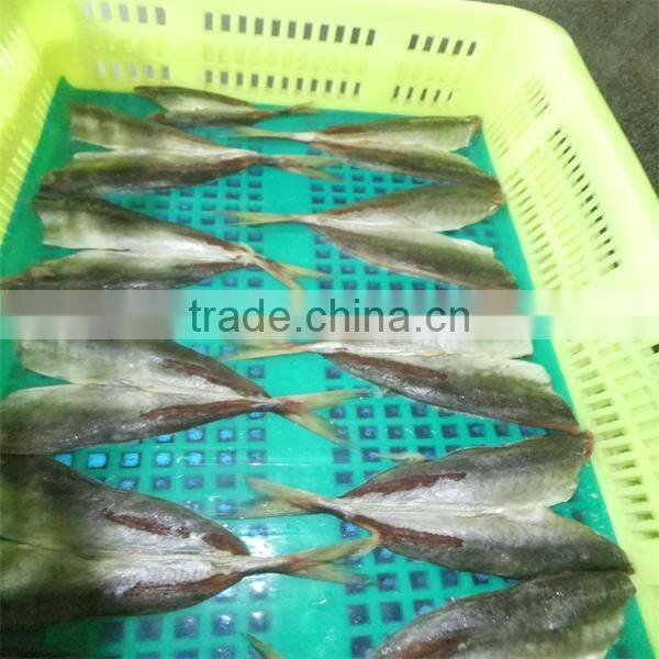high quality cooking horse mackerel whole round