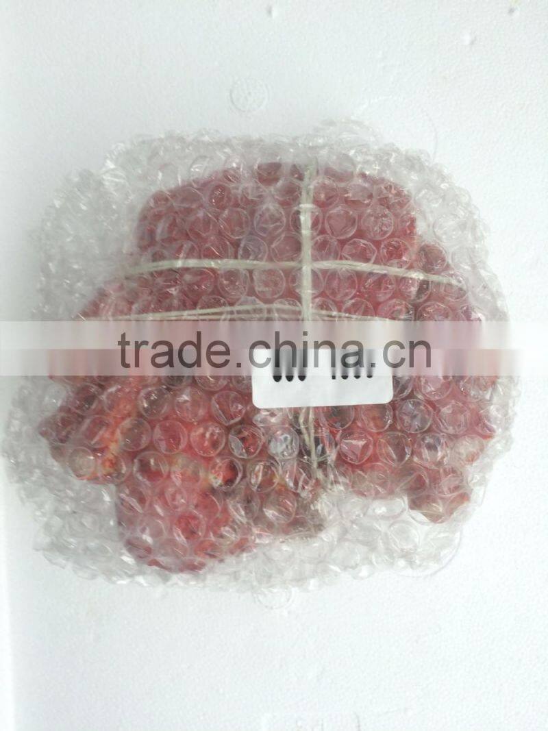 Hairy Snow Crab Antarctica