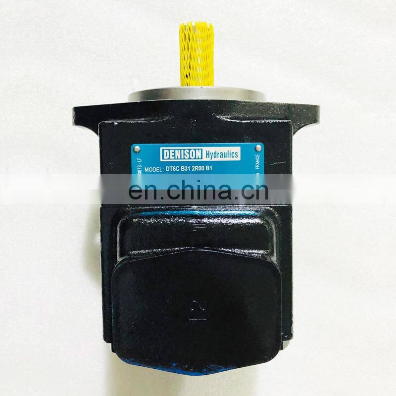 OEM Denison vane pumo double pump T6C T6D T6E T6CC T6DC T6DD T6EC T6ED T6EE T6C-022-2R00-C1 T6C-003-1R01-B1