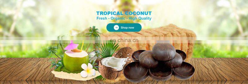 Original Flavor Bulk Packaging Fatty AD Drying Process Common Cultivation Type Dry Desiccated Coconut Powder
