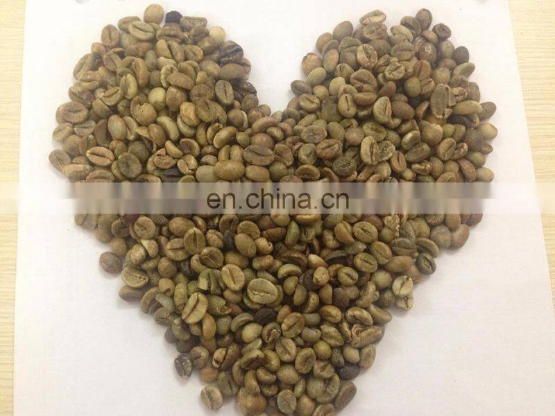 Robusta coffee beans