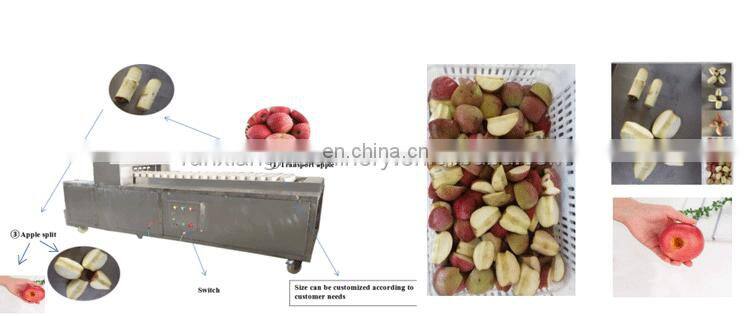 Runxiang Apple Jujube Peach Apricot Quince Oli Corer