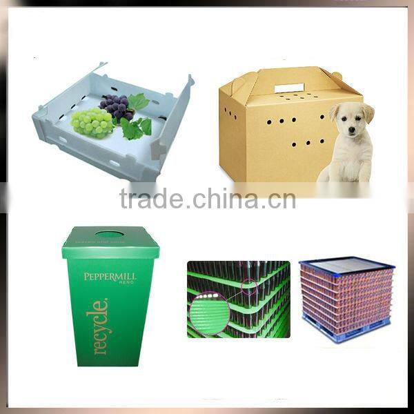 2015 light weight yet durable hollow plastic sheet display stand