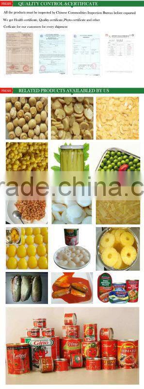 tinned and plastic packed canned tomato ketchup