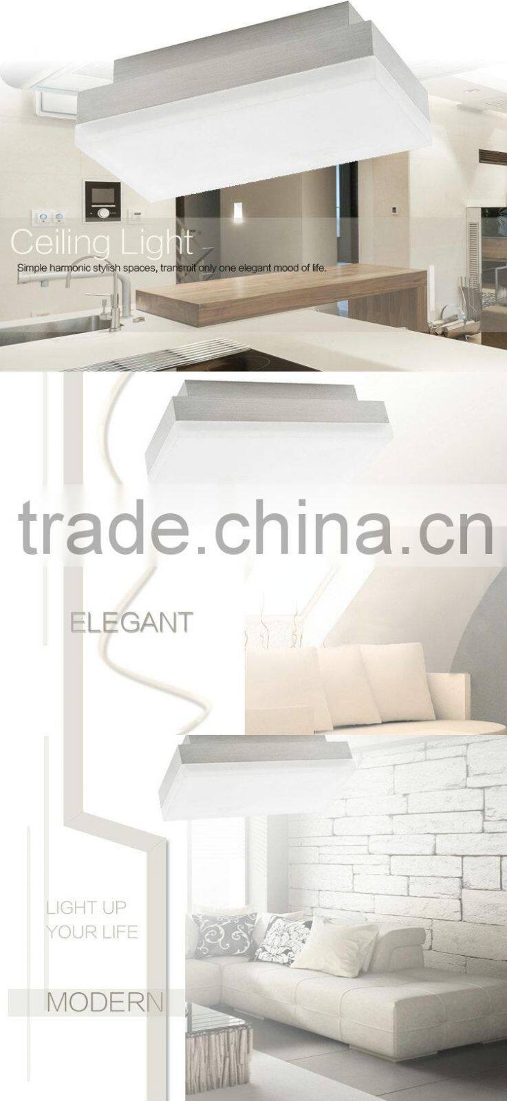 Surface mount ceiling led light the lamp for living room